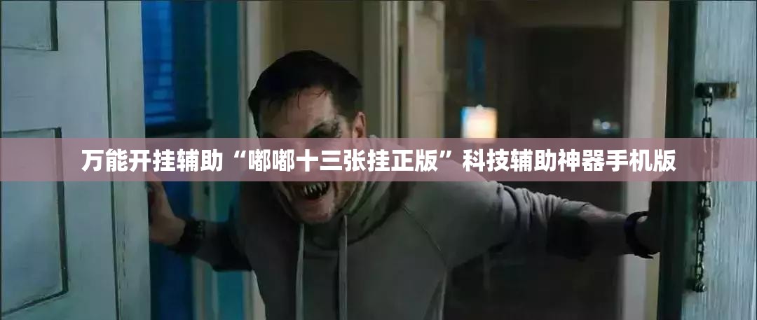 万能开挂辅助“嘟嘟十三张挂正版”科技辅助神器手机版