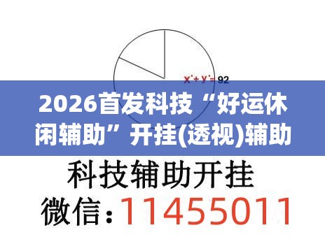 2026首发科技“好运休闲辅助”开挂(透视)辅助教程