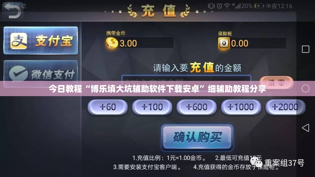 今日教程“博乐填大坑辅助软件下载安卓”细辅助教程分享
