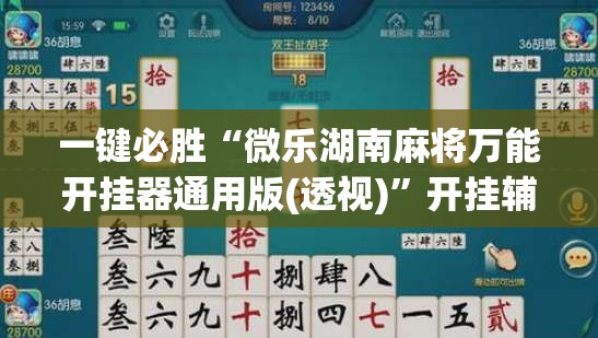 一键必胜“微乐湖南麻将万能开挂器通用版(透视)”开挂辅助脚本+详细开挂安装教程
