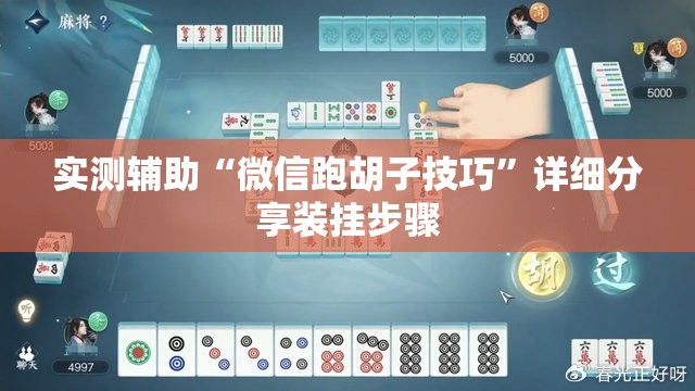 实测辅助“微信跑胡子技巧	”详细分享装挂步骤