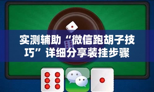 实测辅助“微信跑胡子技巧”详细分享装挂步骤