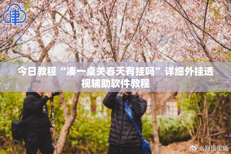 今日教程“凑一桌关春天有挂吗	”详细外挂透视辅助软件教程