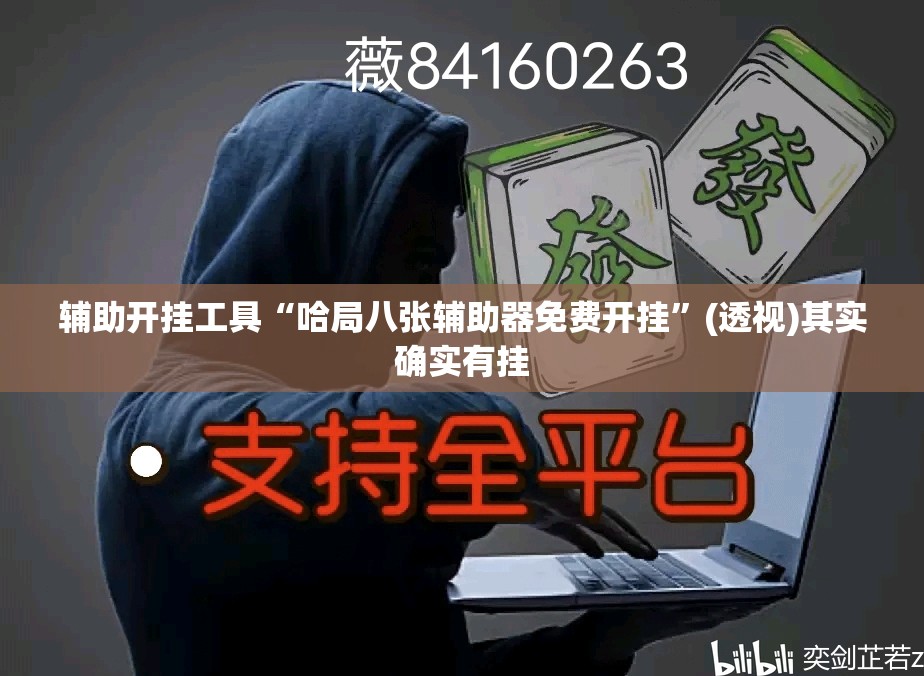 辅助开挂工具“哈局八张辅助器免费开挂	”(透视)其实确实有挂