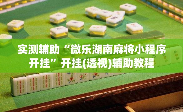 实测辅助“微乐湖南麻将小程序开挂	”开挂(透视)辅助教程