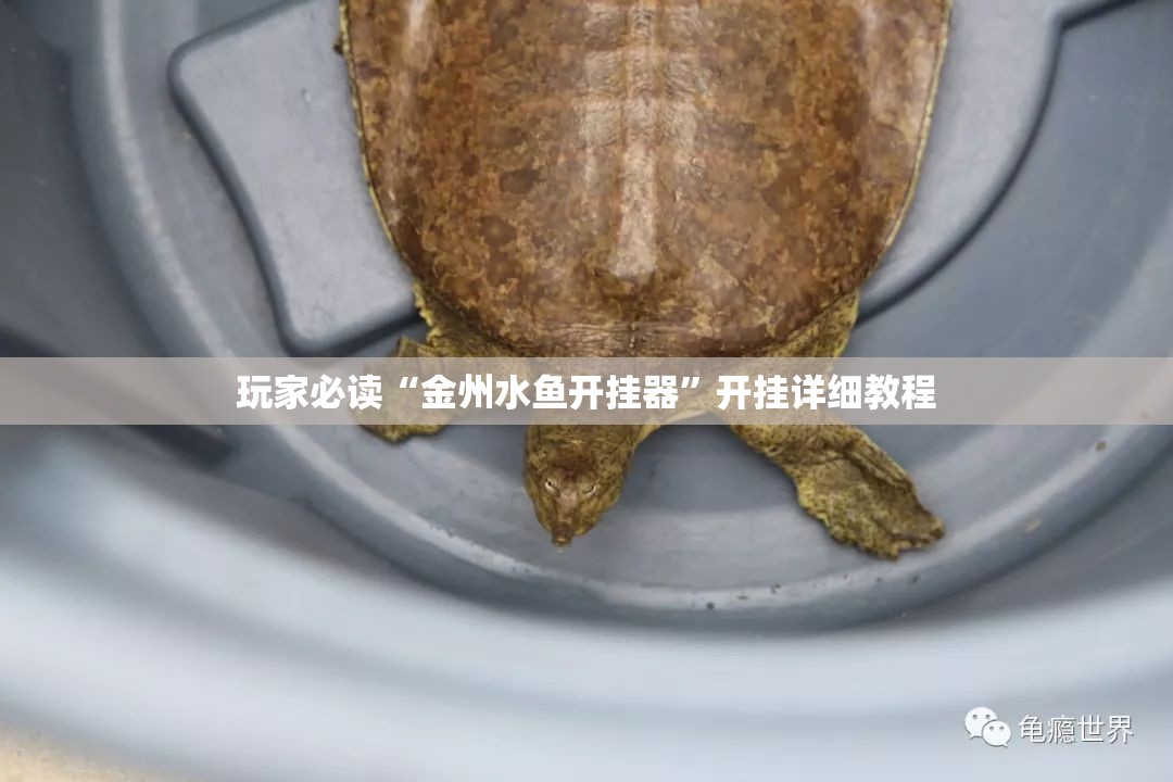 玩家必读“金州水鱼开挂器”开挂详细教程