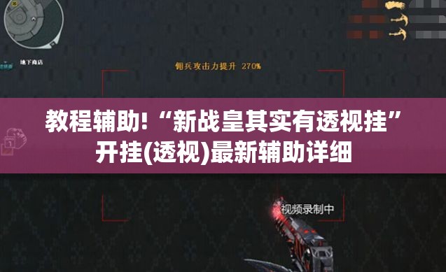 教程辅助!“新战皇其实有透视挂”开挂(透视)最新辅助详细