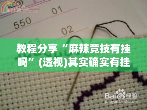 教程分享“麻辣竞技有挂吗”(透视)其实确实有挂