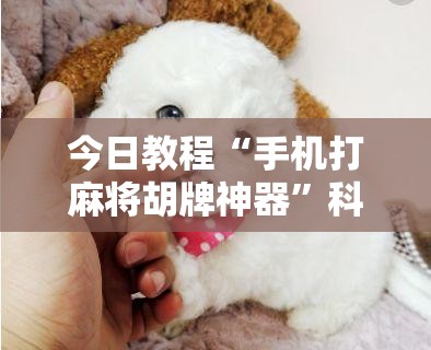 今日教程“手机打麻将胡牌神器”科技辅助神器手机版