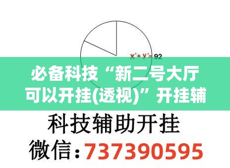 必备科技“新二号大厅可以开挂(透视)”开挂辅助脚本+详细开挂安装教程