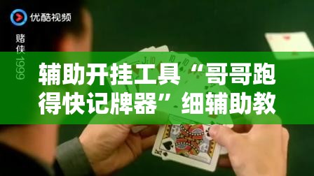 辅助开挂工具“哥哥跑得快记牌器”细辅助教程分享