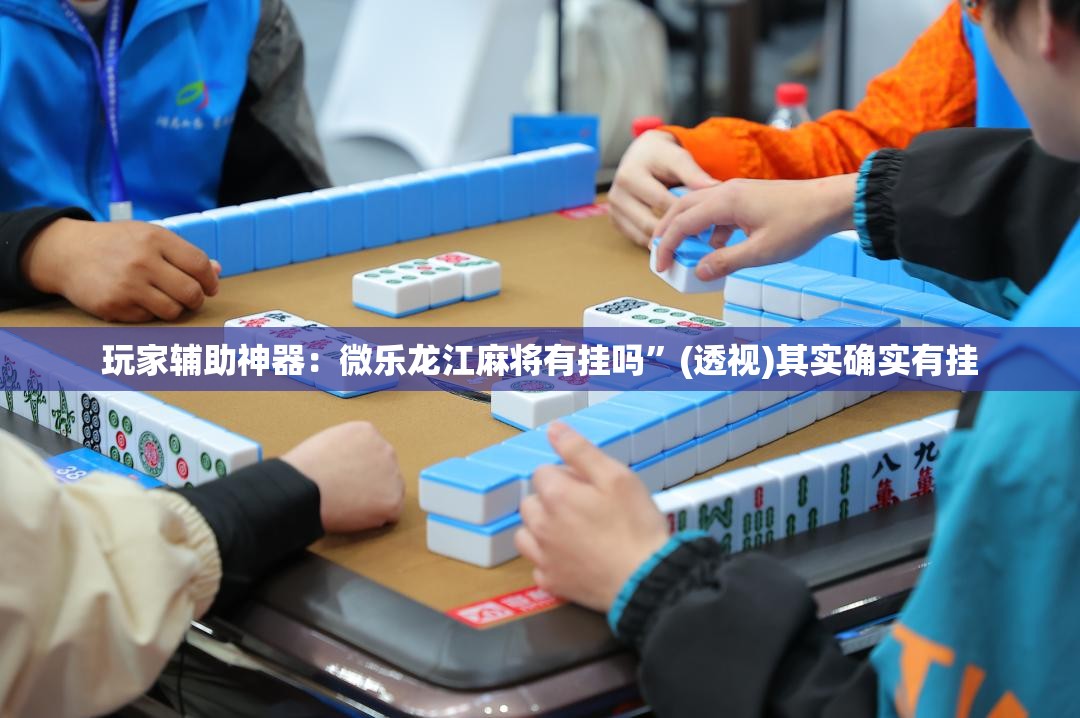 玩家辅助神器：微乐龙江麻将有挂吗”(透视)其实确实有挂
