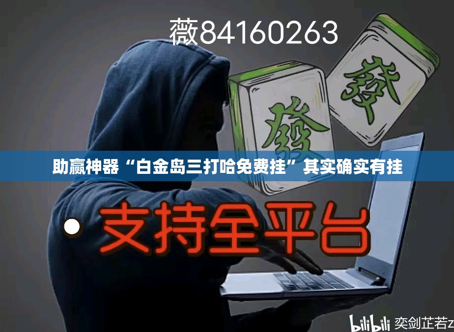 助赢神器“白金岛三打哈免费挂”其实确实有挂