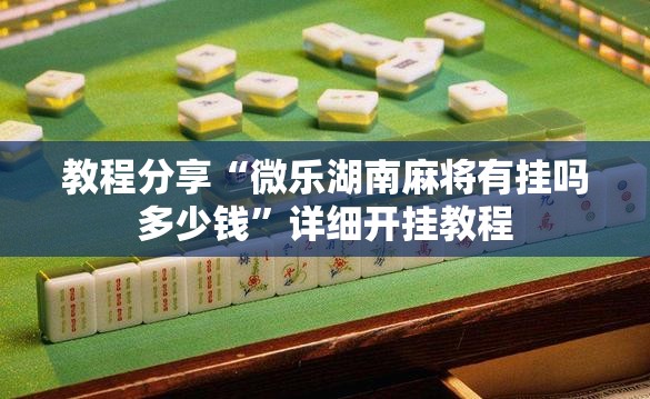 教程分享“微乐湖南麻将有挂吗多少钱”详细开挂教程