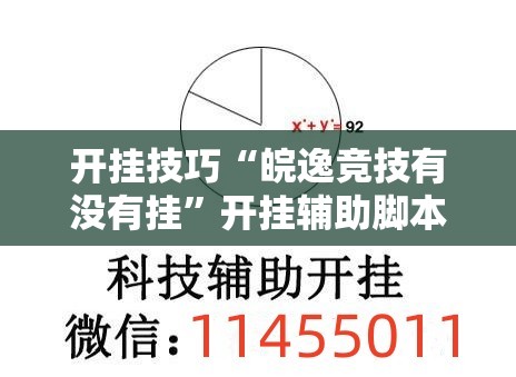 开挂技巧“皖逸竞技有没有挂”开挂辅助脚本+详细开挂安装教程