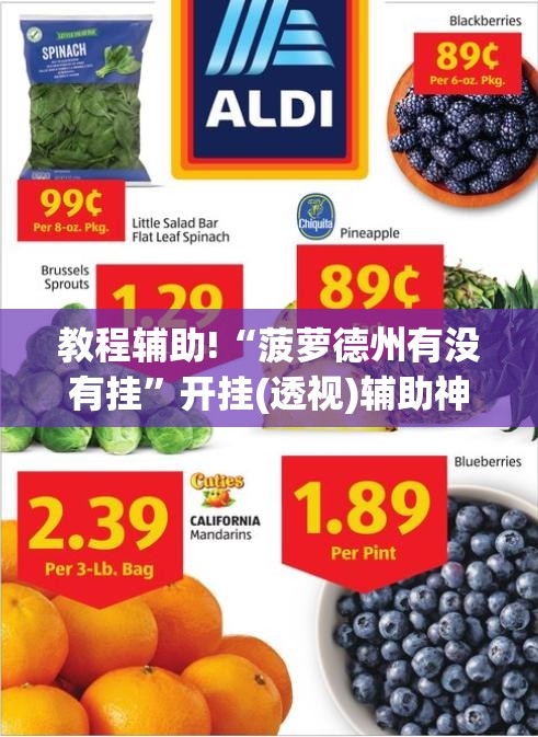教程辅助!“菠萝德州有没有挂	”开挂(透视)辅助神器