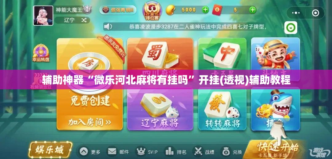 辅助神器“微乐河北麻将有挂吗”开挂(透视)辅助教程