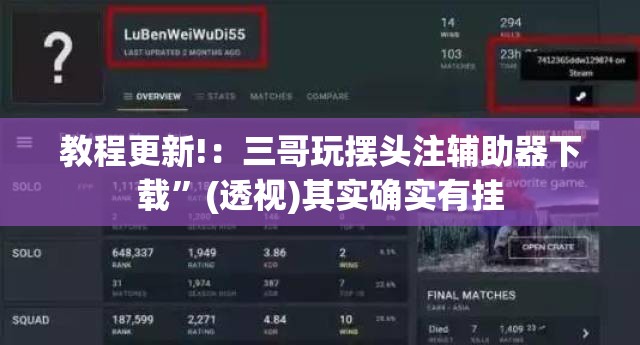 教程更新!：三哥玩摆头注辅助器下载”(透视)其实确实有挂