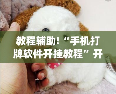 教程辅助!“手机打牌软件开挂教程	”开挂(透视)最新辅助详细