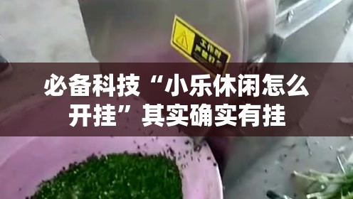 必备科技“小乐休闲怎么开挂	”其实确实有挂